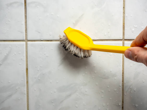 Best Black Mold Removal  in Montezuma, GA
