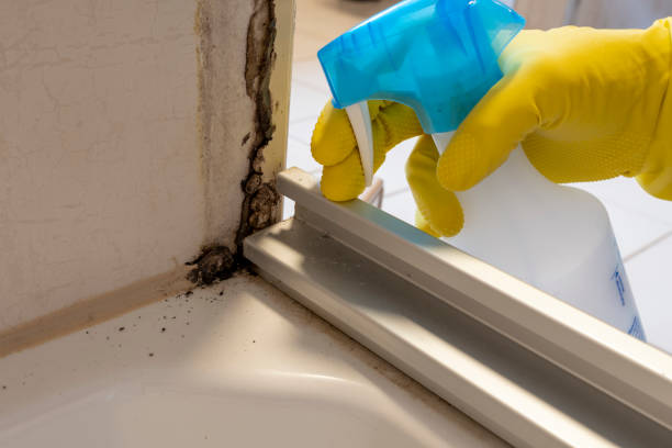 Montezuma, GA Mold Removal Company