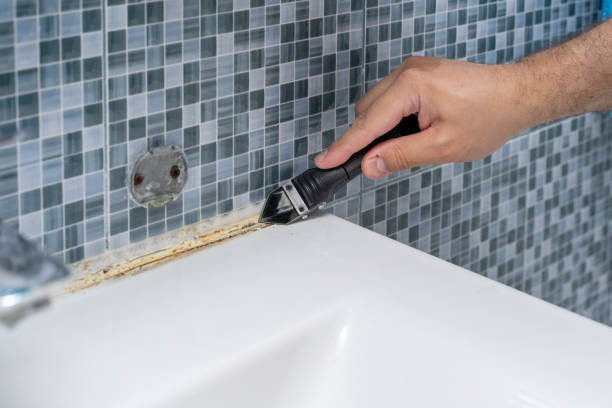Best Fast Mold Removal  in Montezuma, GA